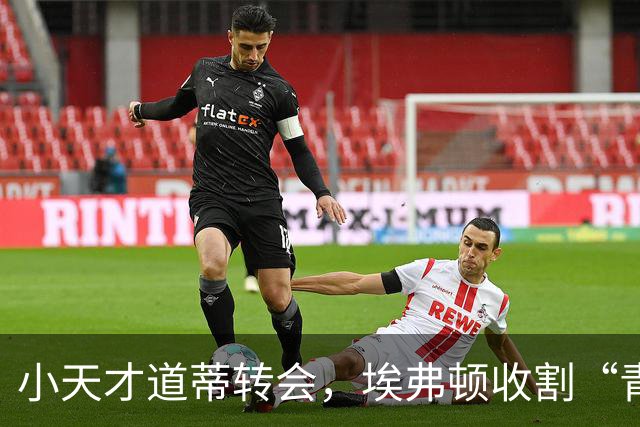小天才道蒂转会，埃弗顿收割“青训补偿